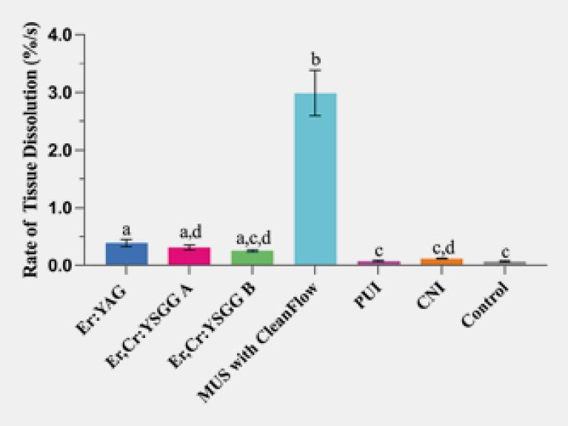 Effectiveness of Six Irrigation Techniques With Sodium Hypochlorite in Tissue Dissolution