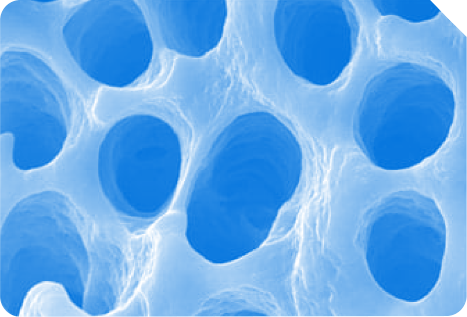 4 to 8.5X times greater penetration into the dentin