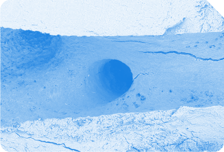 No organic tissue remnants or debris